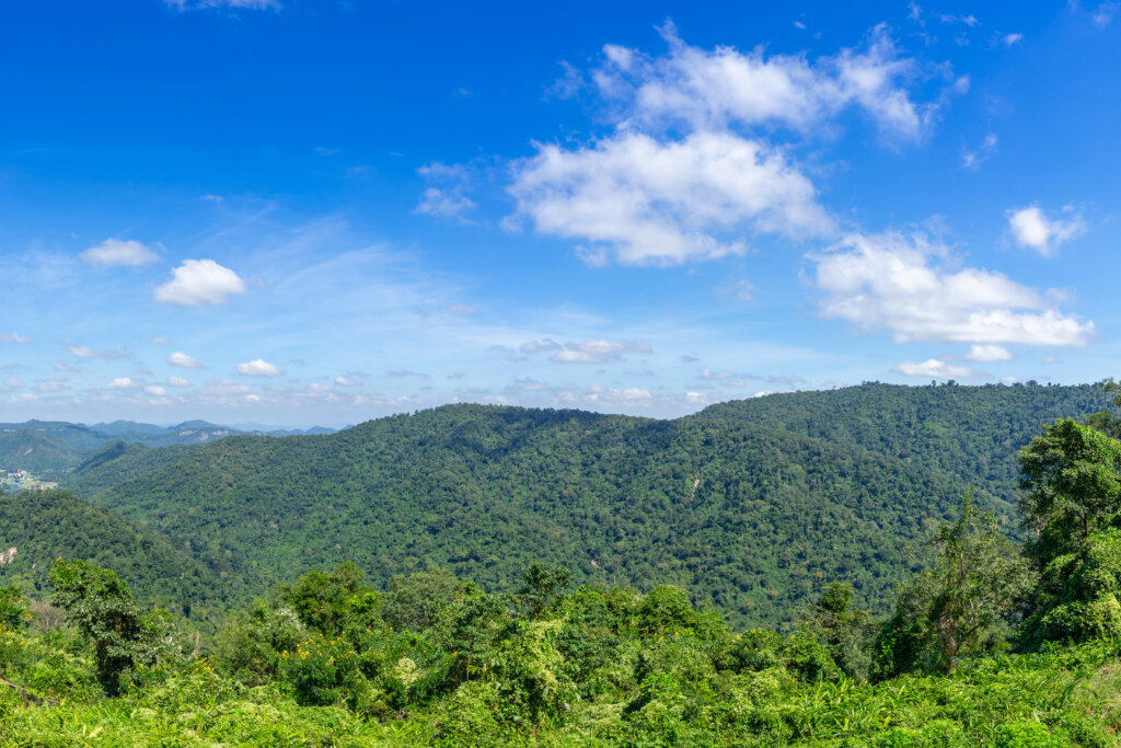 田舎の風景