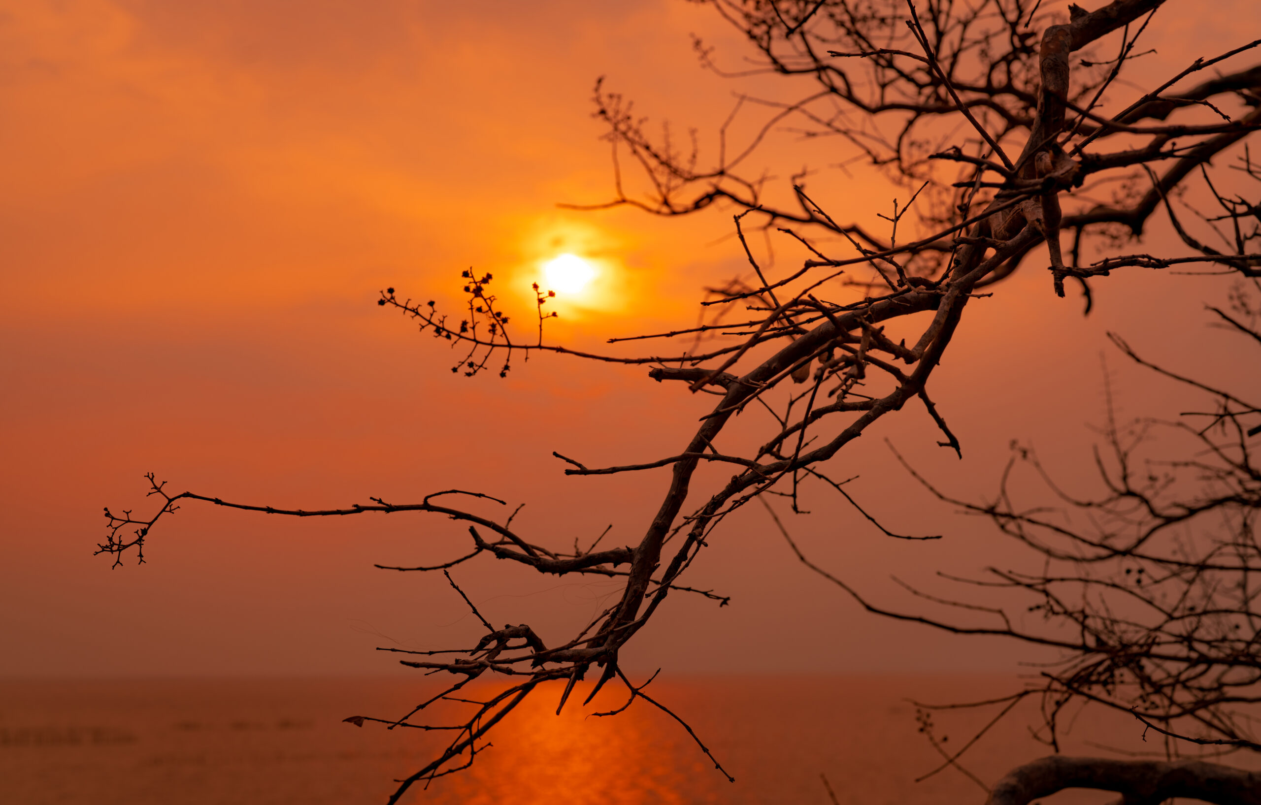 夕方