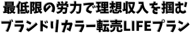 最低限の労力で理想収入を掴む-ブランドリカラー転売LIFEプラン