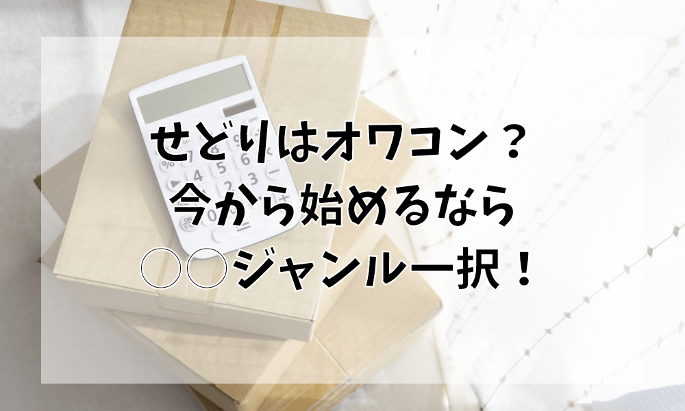 せどりはオワコン？今から始めるなら○○ジャンル一択！