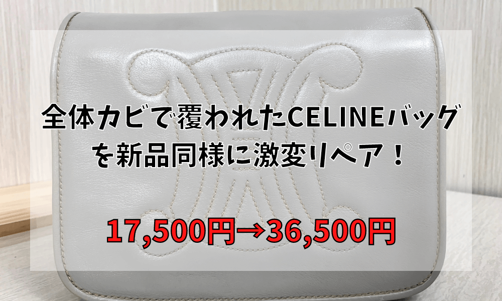 全体カビで覆われたCELINEバッグを新品同様に激変リペア！